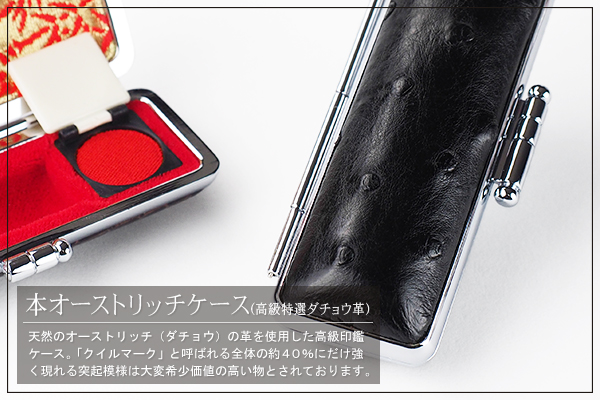 �I�[�X�g���b�`�P�[�X�i���I�{�I�[�X�g���b�`�v�j