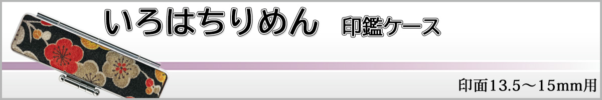 ����͂���߂�P�[�X15