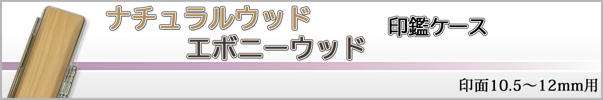 �i�`�������E�b�h�P�[�X12